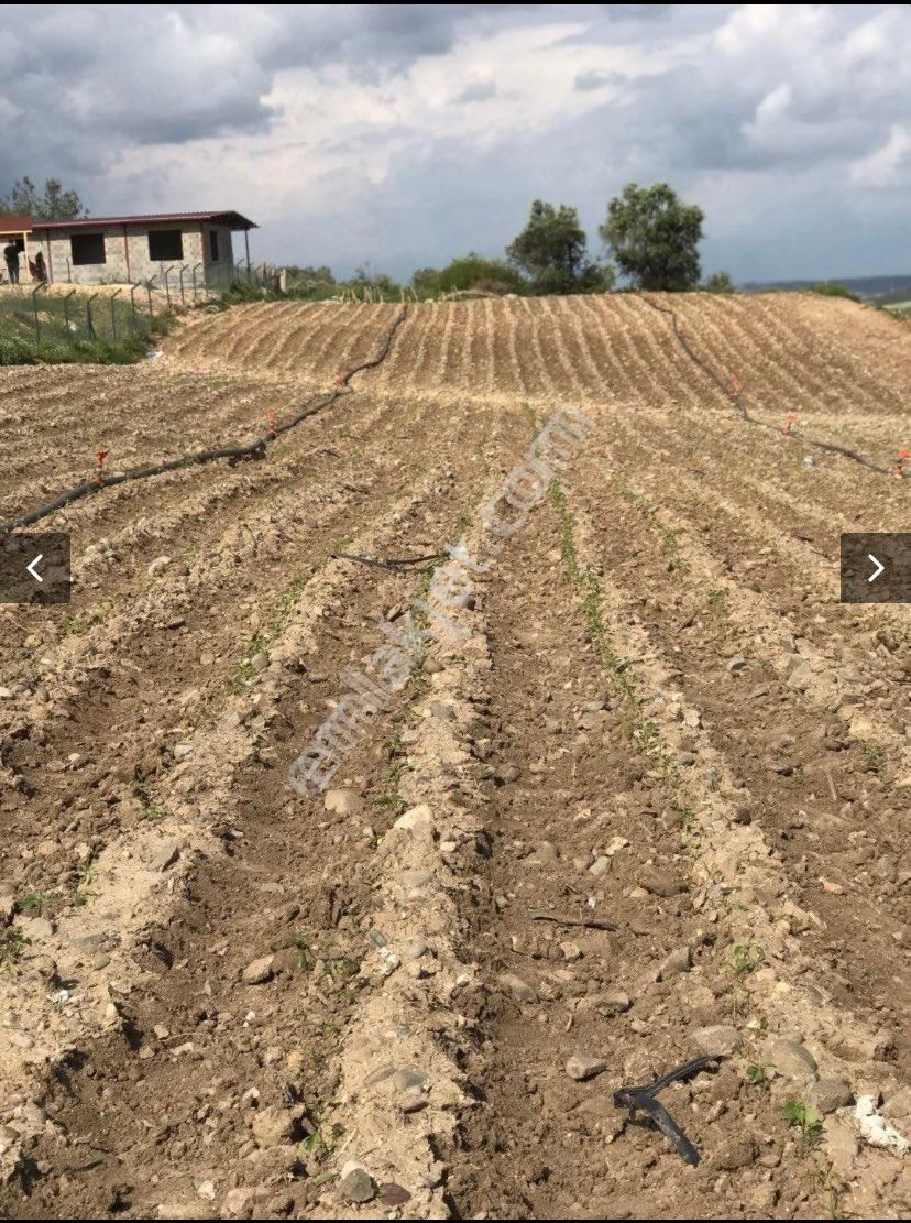 Örcünde Satılık Arsa - Görsel 4