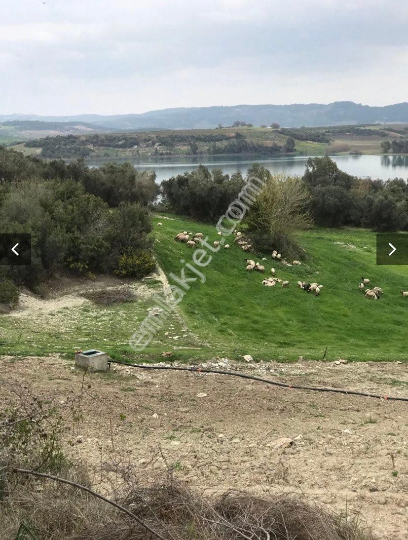 Örcünde Satılık Arsa - Görsel 7