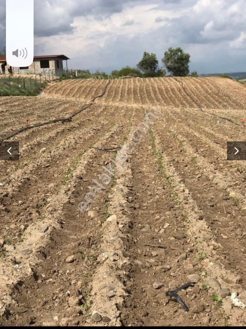 Örcünde Satılık Arsa - Görsel 14