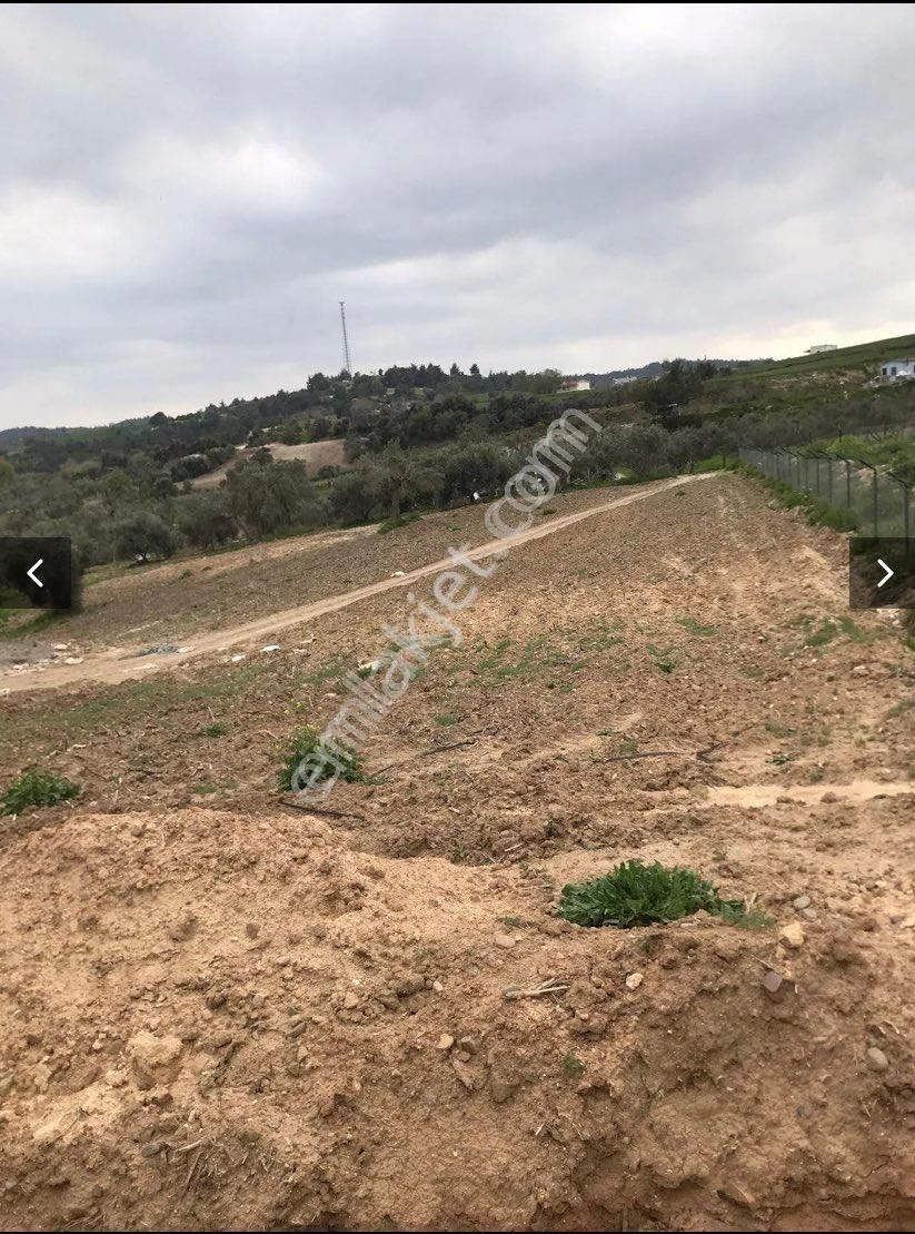 Örcünde Satılık Arsa - Görsel 6