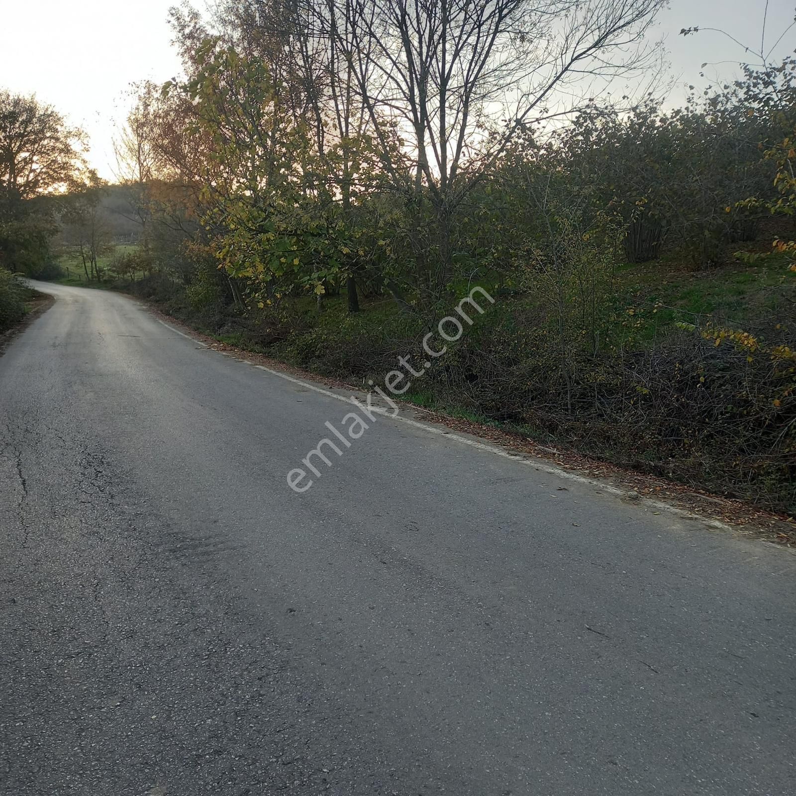 Kaçmaz Emlak'tan Sakarya Kaynarca'da Satılık 874m2. Fındık Bahçesi - Görsel 3