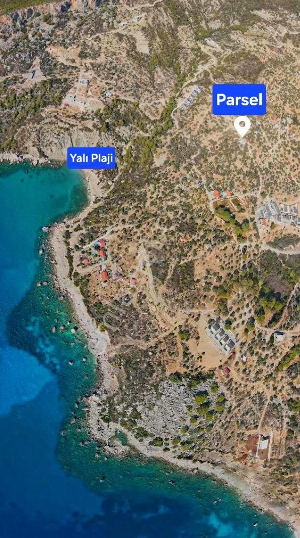 Kaş Gelemiş Satılık Zeytinlik Deniz Manzaralı Satılık 2b Arazi