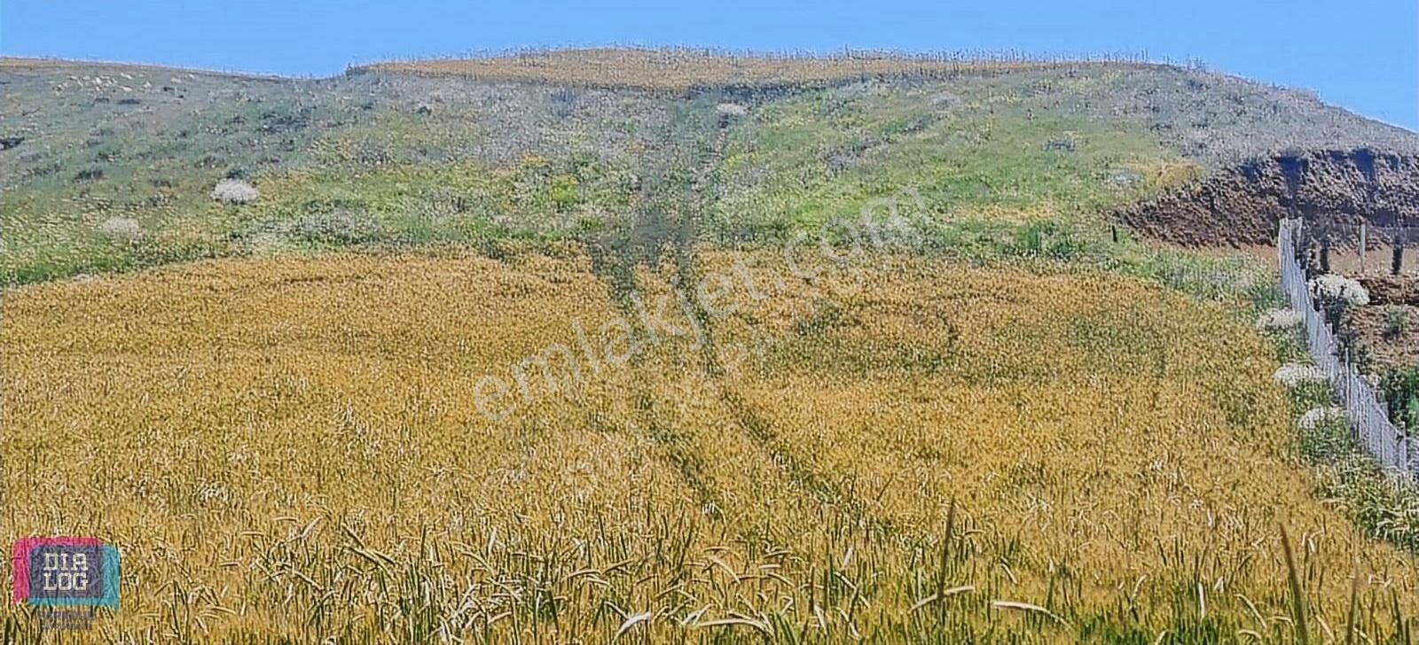 Elmadağ Yenimahalle Satılık Tarla Dialog Parkour'dan Elmadağ'da Satılık Arsa