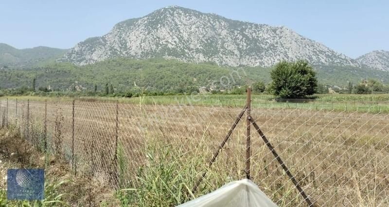 Aksu Karaöz Satılık Tarla Karaöz Isparta Asfaltı Yanı Ne İstersen Hobi Bahçesi Tarla Sera