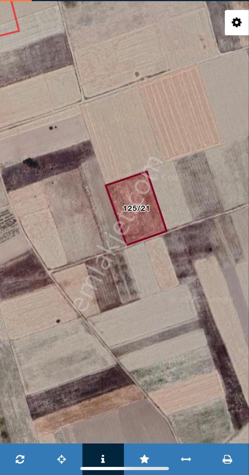Burdur Merkez Yassıgüme Mahallesi’nde 5952 M² Tarla – Kare Şeklinde Ve Yol Mevcut