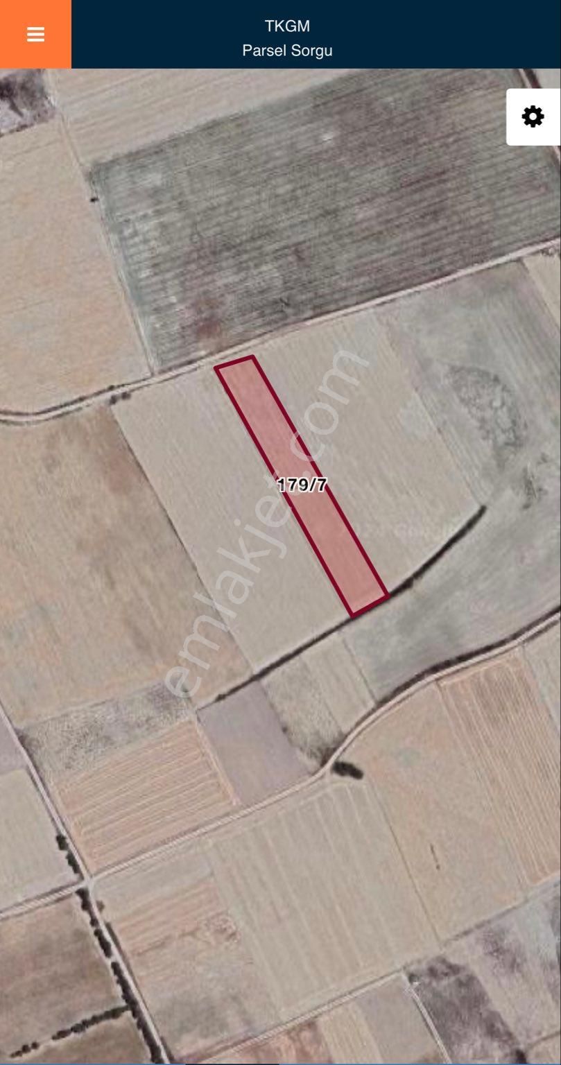 Burdur Yazıköy’de 4807 M² Tarla – Göl Havzasında Fırsat Arazisi!