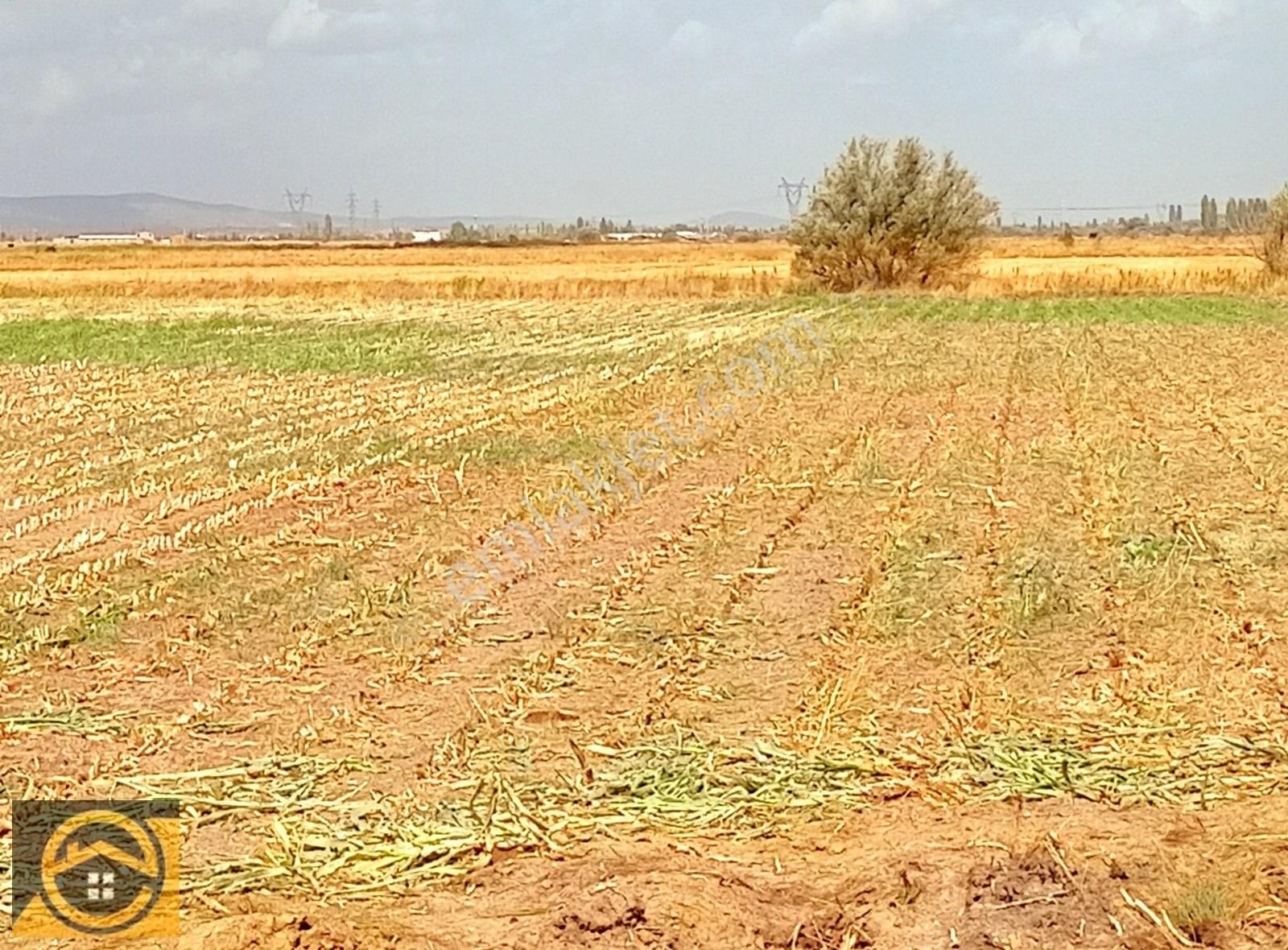 Seydişehir İncesu Satılık Tarla Ekon,dan İnce Suda Seydişehire 2 Km Mesafede Sulama Kanalı Yanı