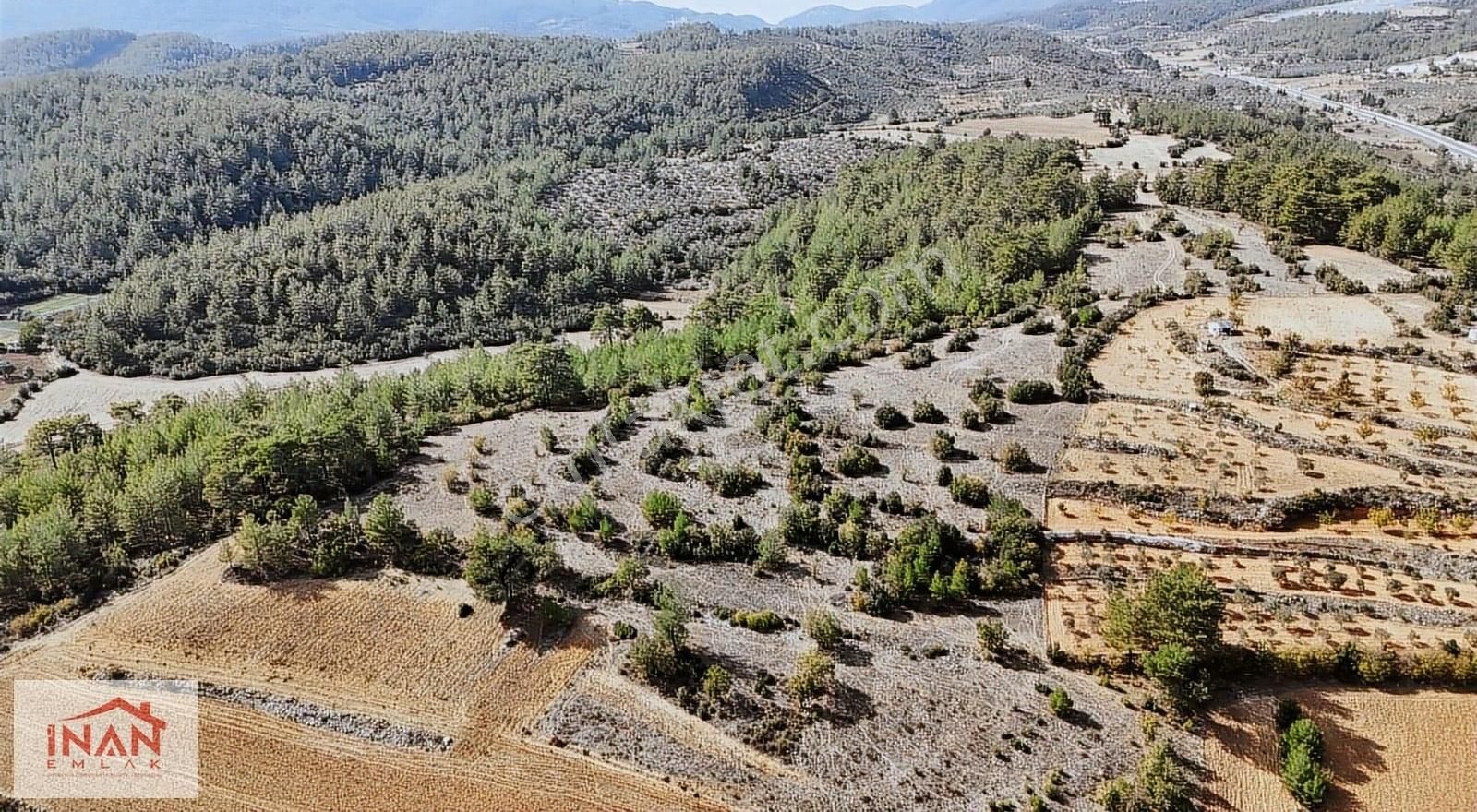 Yatağan Yayla Satılık Tarla Yatağan Bodrum Karayolundan 380 Mt İçeride Tam 45.716 M2 Tarla