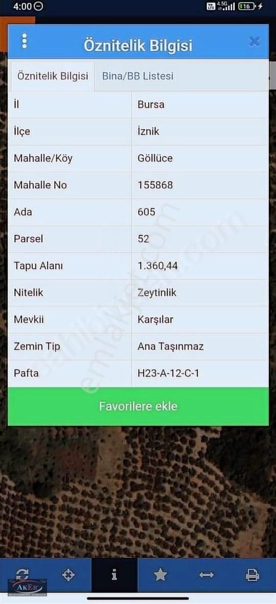 İznik Göllüce Satılık Zeytinlik uygun fiyata zeytinlik