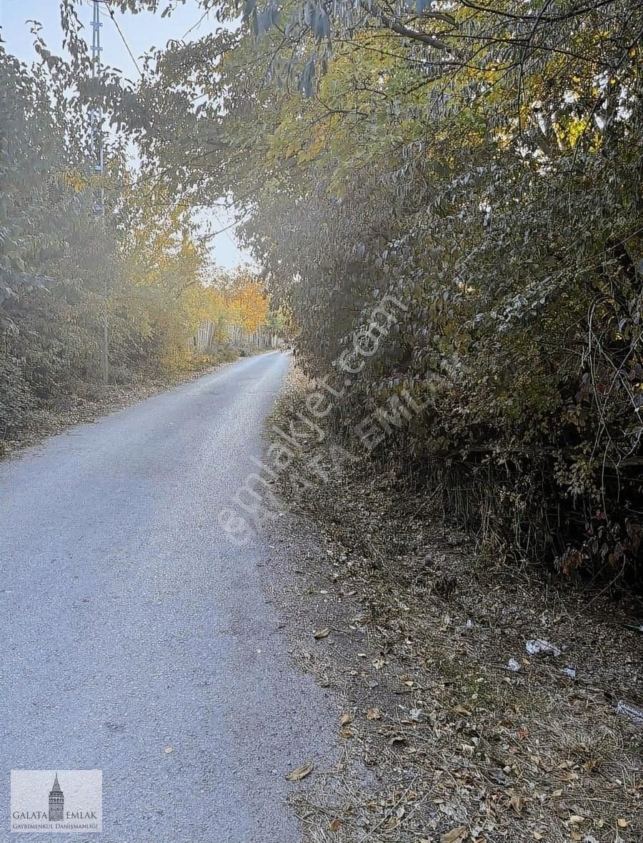 Yeşilyurt Yakınca Satılık Bağ & Bahçe Yakıncada Satılık Arsa