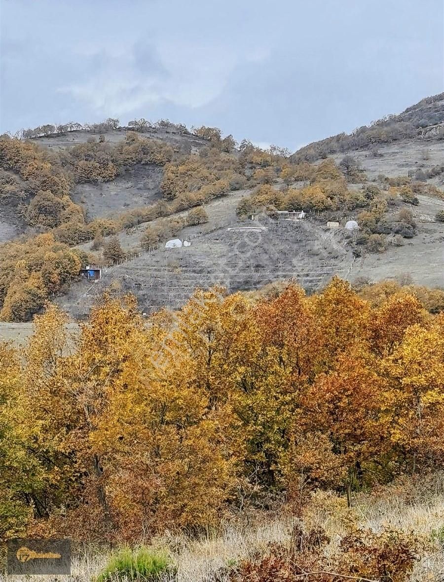 İznik Bayındır Satılık Tarla İznik Bayındır Satılık Arsa 17.725m2 Göl Manzaralı Yapı Kayıtlı