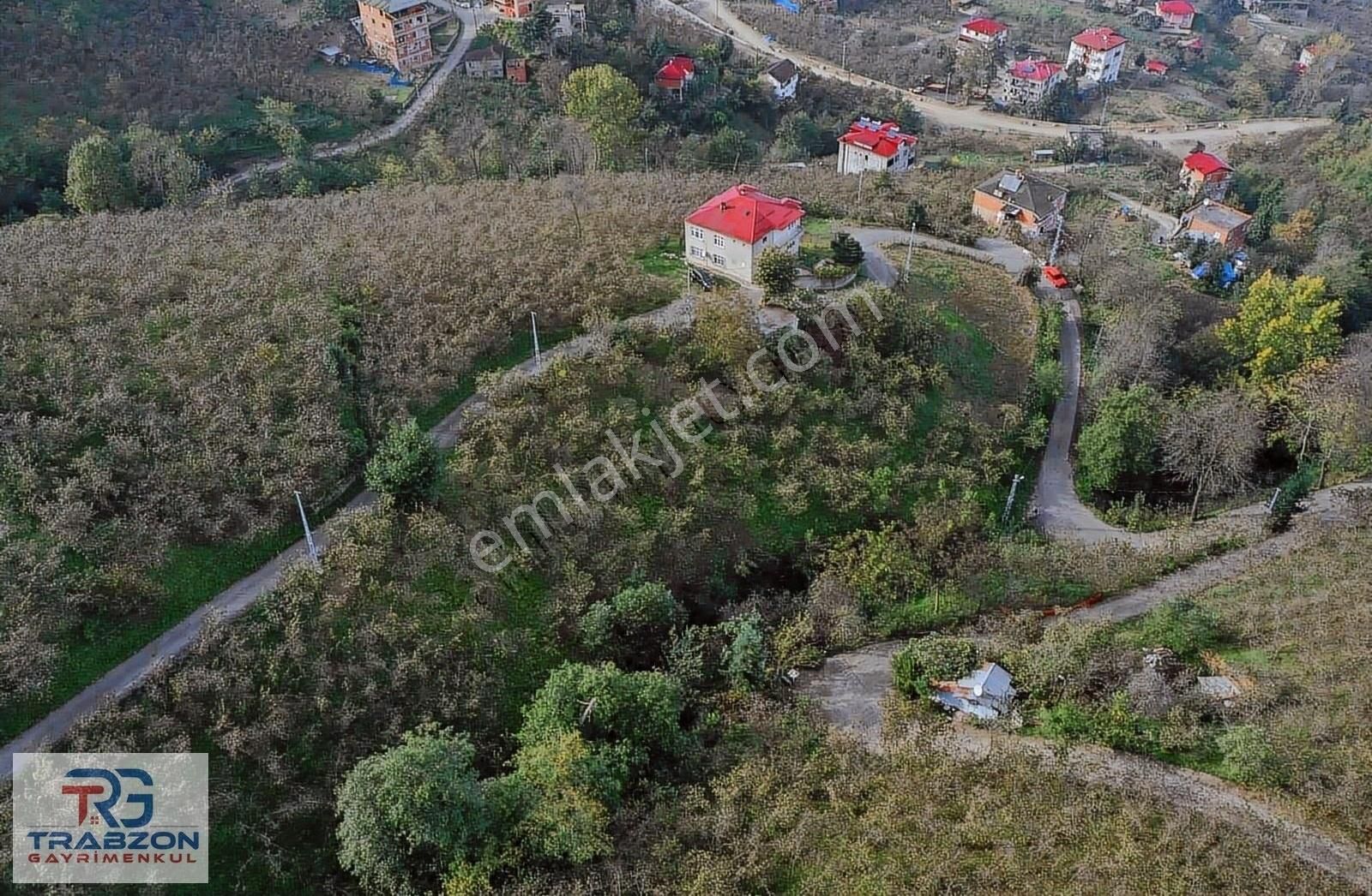 Ortahisar Yeniköy Satılık Tarla Trabzon Gayrimenkul'den Harika Konumda Satılık Fırsat Arsa