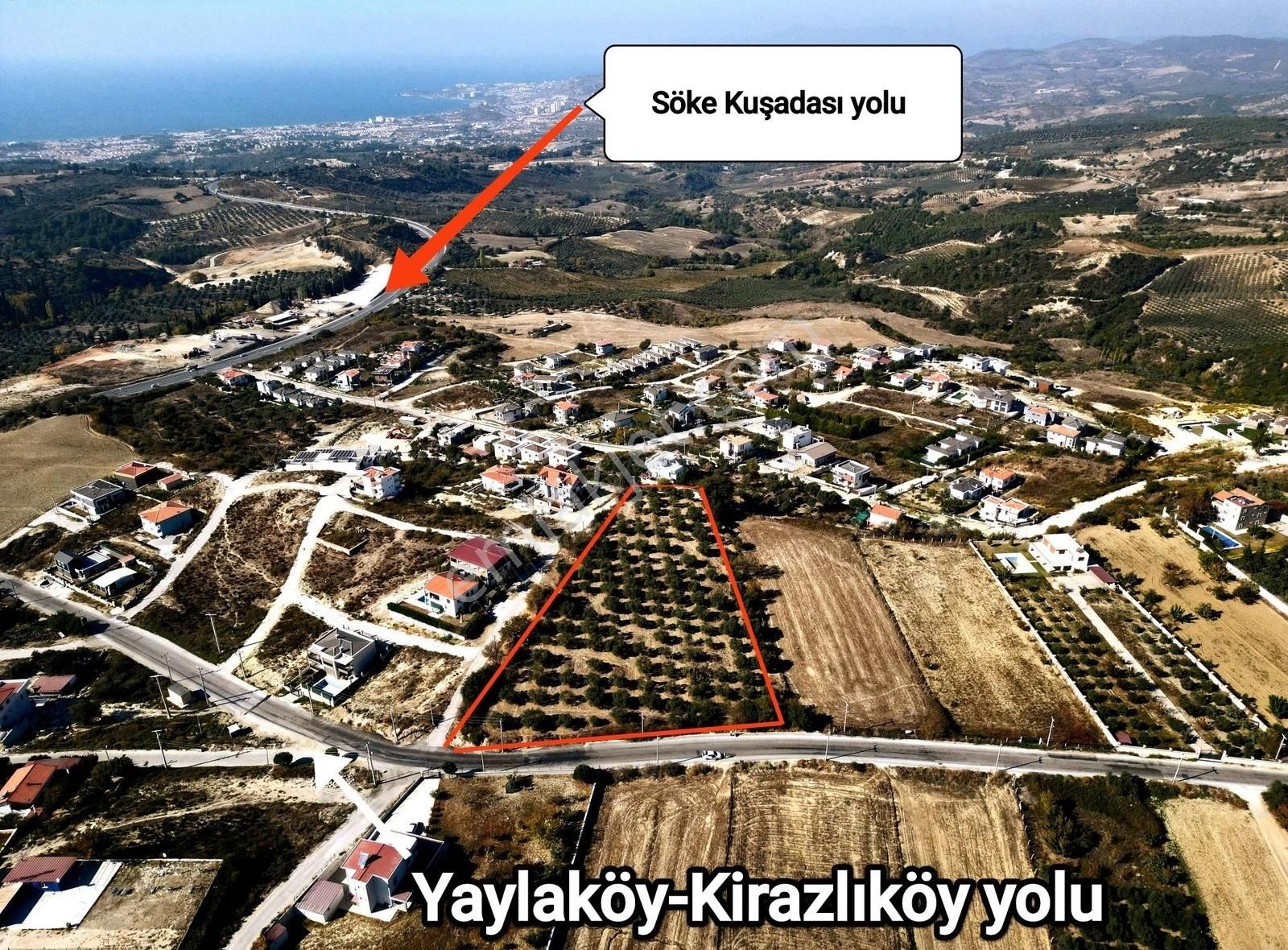 Kuşadası Yaylaköy Satılık Bağ & Bahçe Kuşadası Yaylaköy'de Anayola Sıfır Satılık 7 Dönüm Zeytinlik