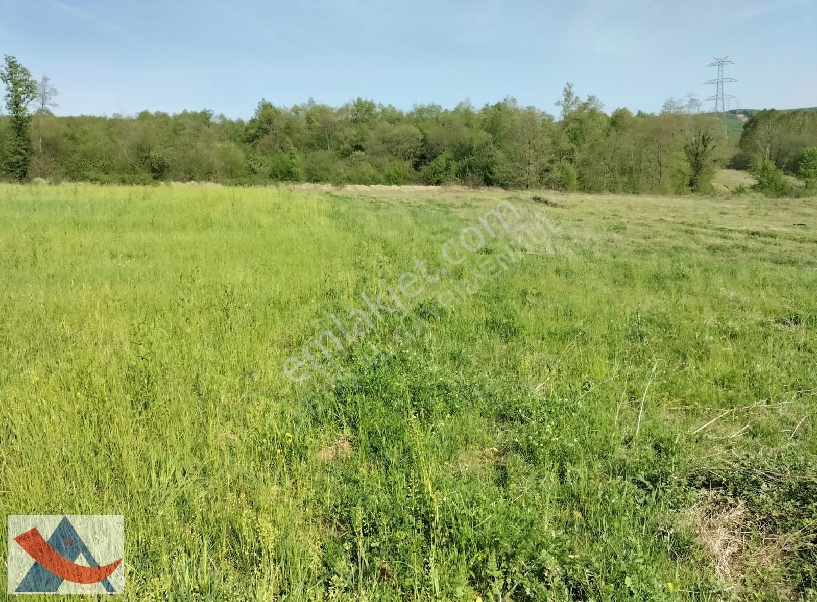 Yetiş Al Dan Şile Çengilli De Doğa İçinde 4.550 M2 Satılık Arazi - Görsel 31