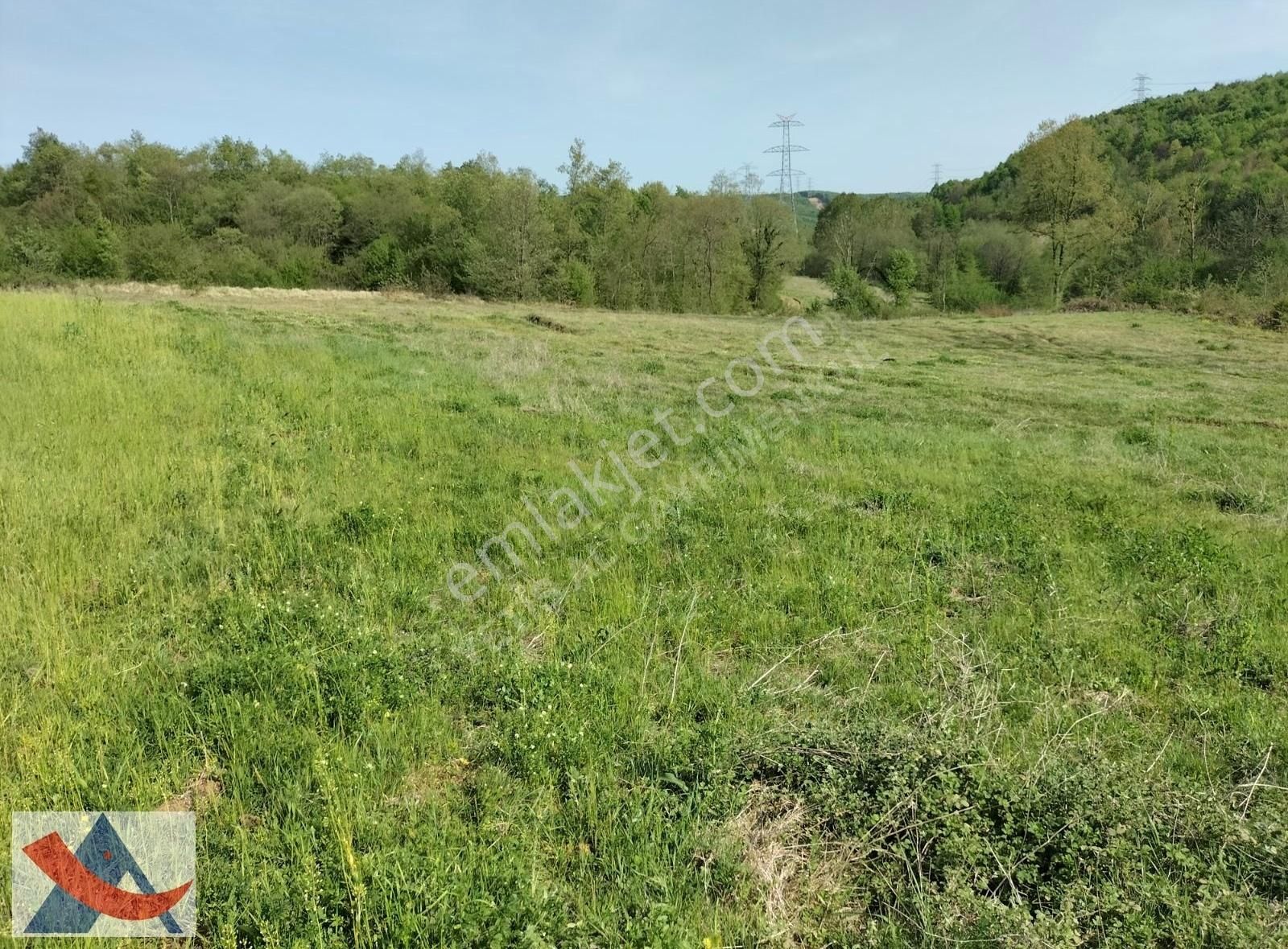 Yetiş Al Dan Şile Çengilli De Doğa İçinde 4.550 M2 Satılık Arazi - Görsel 21