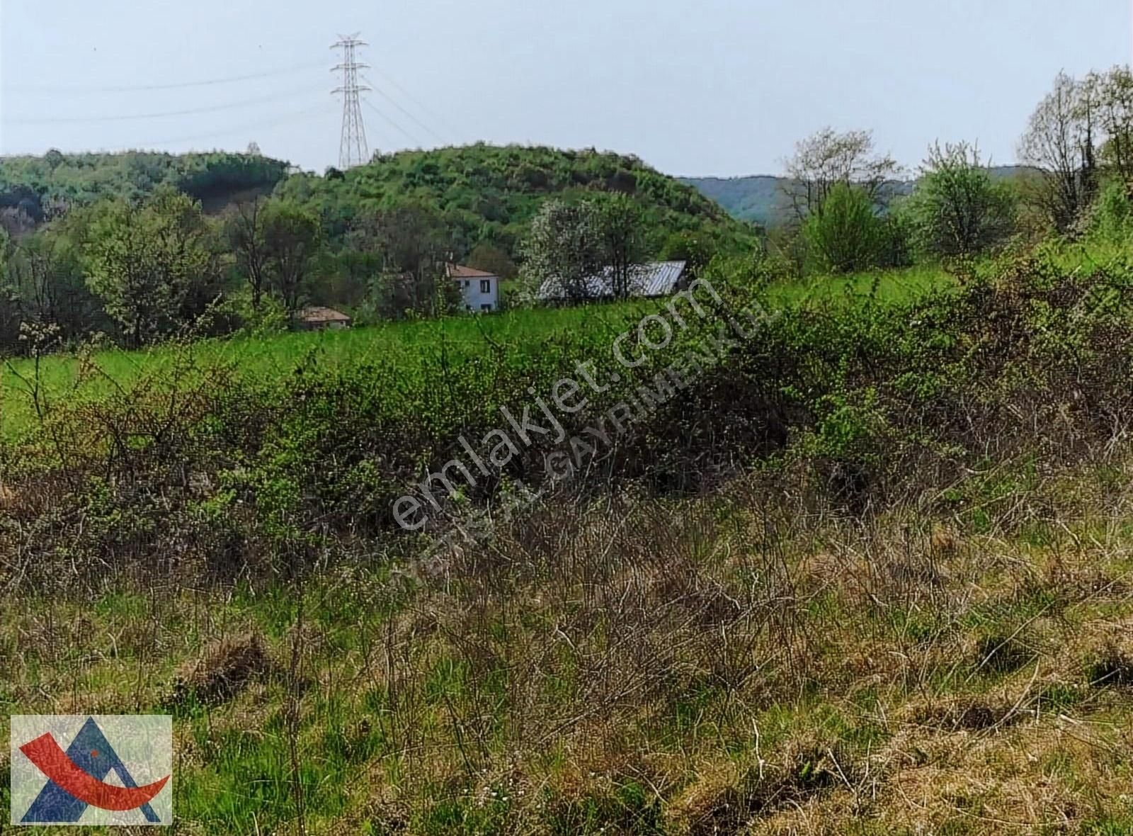 Yetiş Al Dan Şile Çengilli De Doğa İçinde 4.550 M2 Satılık Arazi - Görsel 10