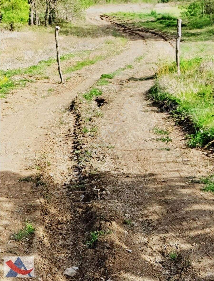 Yetiş Al Dan Şile Çengilli De Doğa İçinde 4.550 M2 Satılık Arazi - Görsel 32