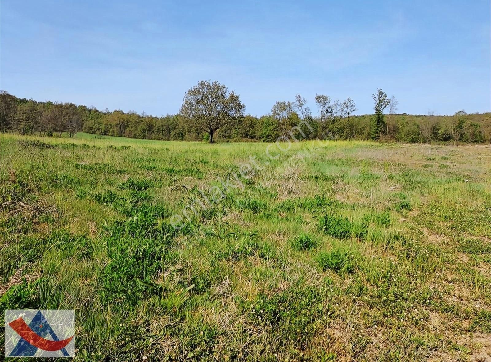 Yetiş Al Dan Şile Çengilli De Doğa İçinde 4.550 M2 Satılık Arazi - Görsel 5