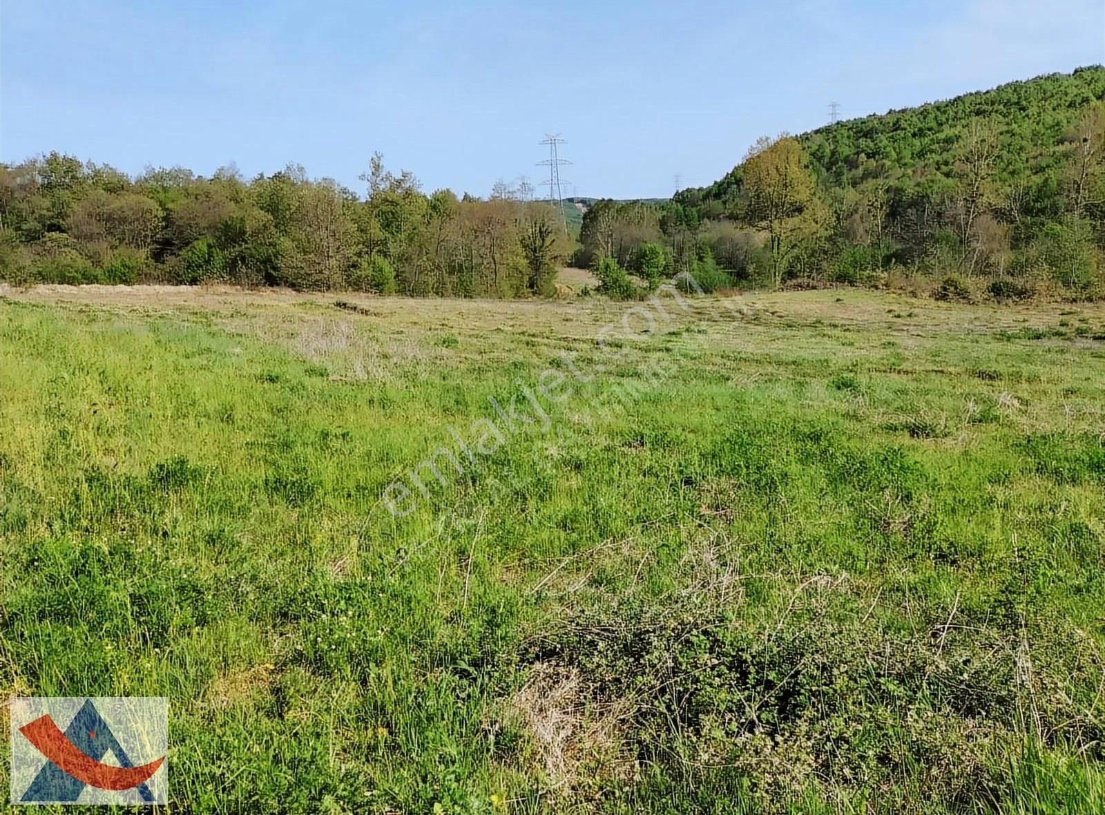 Yetiş Al Dan Şile Çengilli De Doğa İçinde 4.550 M2 Satılık Arazi - Görsel 11