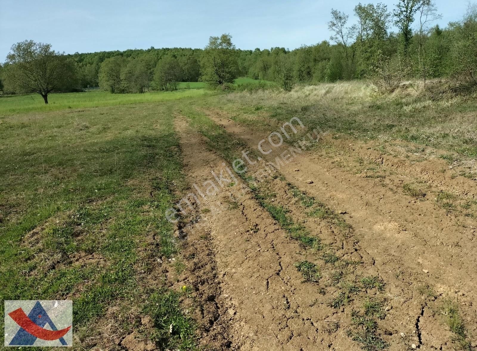 Yetiş Al Dan Şile Çengilli De Doğa İçinde 4.550 M2 Satılık Arazi - Görsel 3