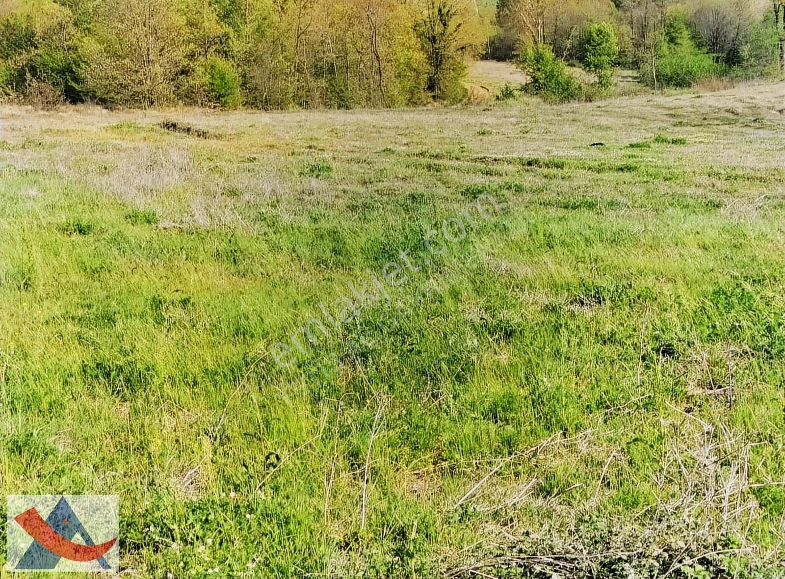 Yetiş Al Dan Şile Çengilli De Doğa İçinde 4.550 M2 Satılık Arazi - Görsel 7