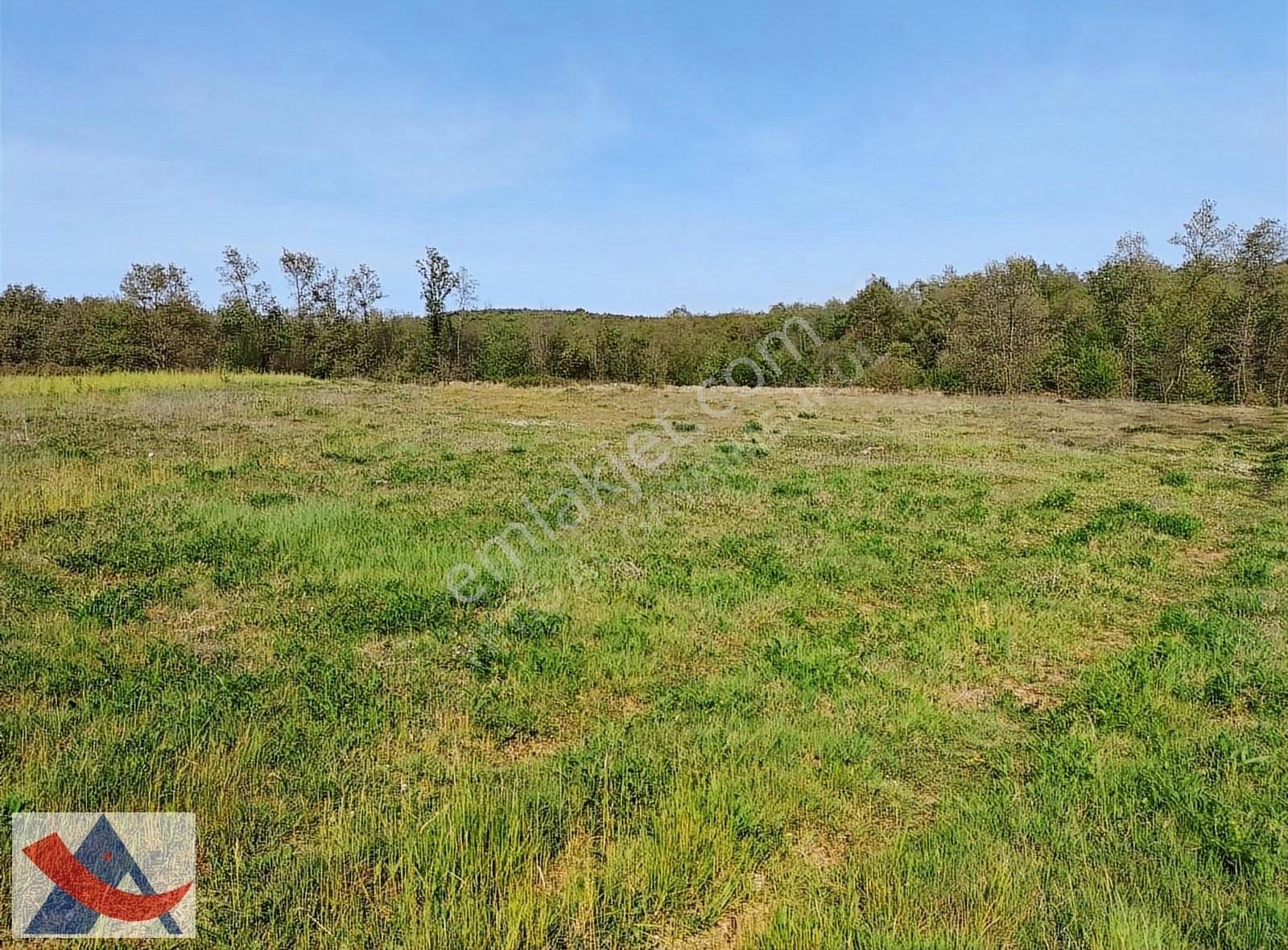 Yetiş Al Dan Şile Çengilli De Doğa İçinde 4.550 M2 Satılık Arazi - Görsel 18