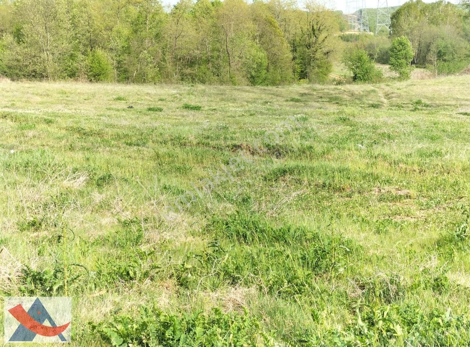 Yetiş Al Dan Şile Çengilli De Doğa İçinde 4.550 M2 Satılık Arazi - Görsel 2