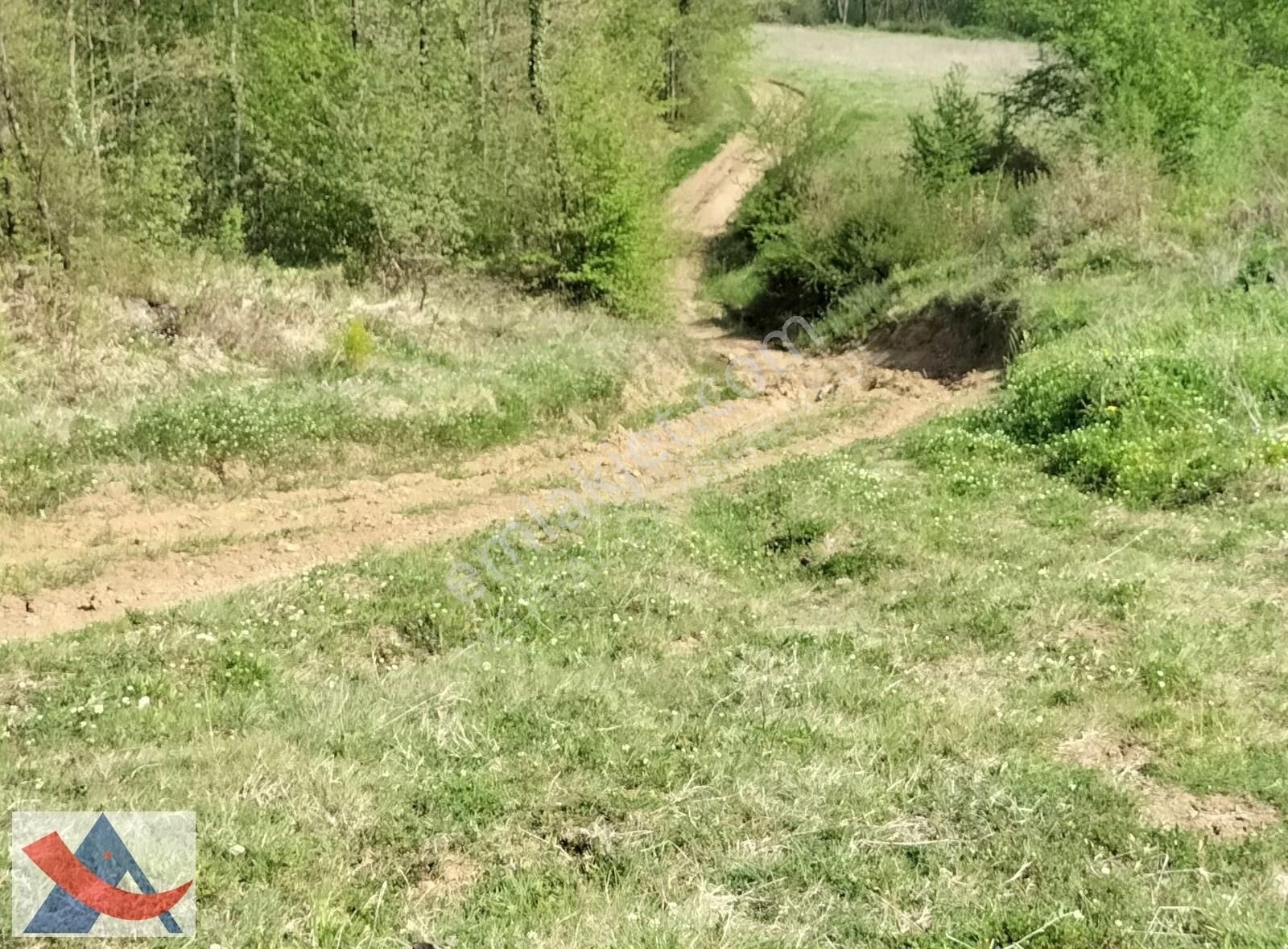 Yetiş Al Dan Şile Çengilli De Doğa İçinde 4.550 M2 Satılık Arazi - Görsel 12