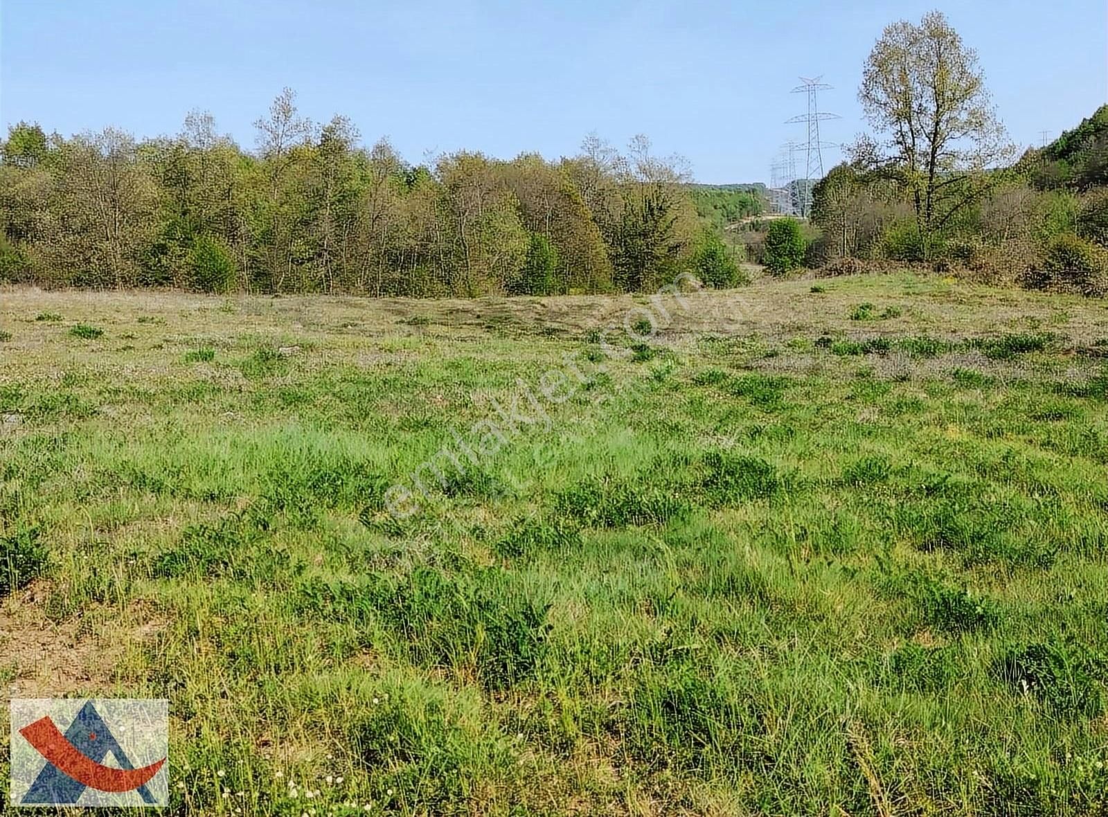 Yetiş Al Dan Şile Çengilli De Doğa İçinde 4.550 M2 Satılık Arazi - Görsel 17