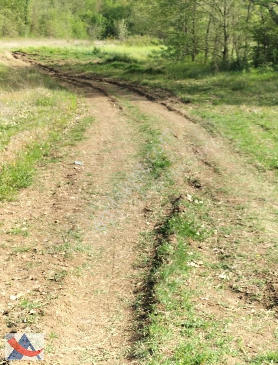 Yetiş Al Dan Şile Çengilli De Doğa İçinde 4.550 M2 Satılık Arazi - Görsel 6