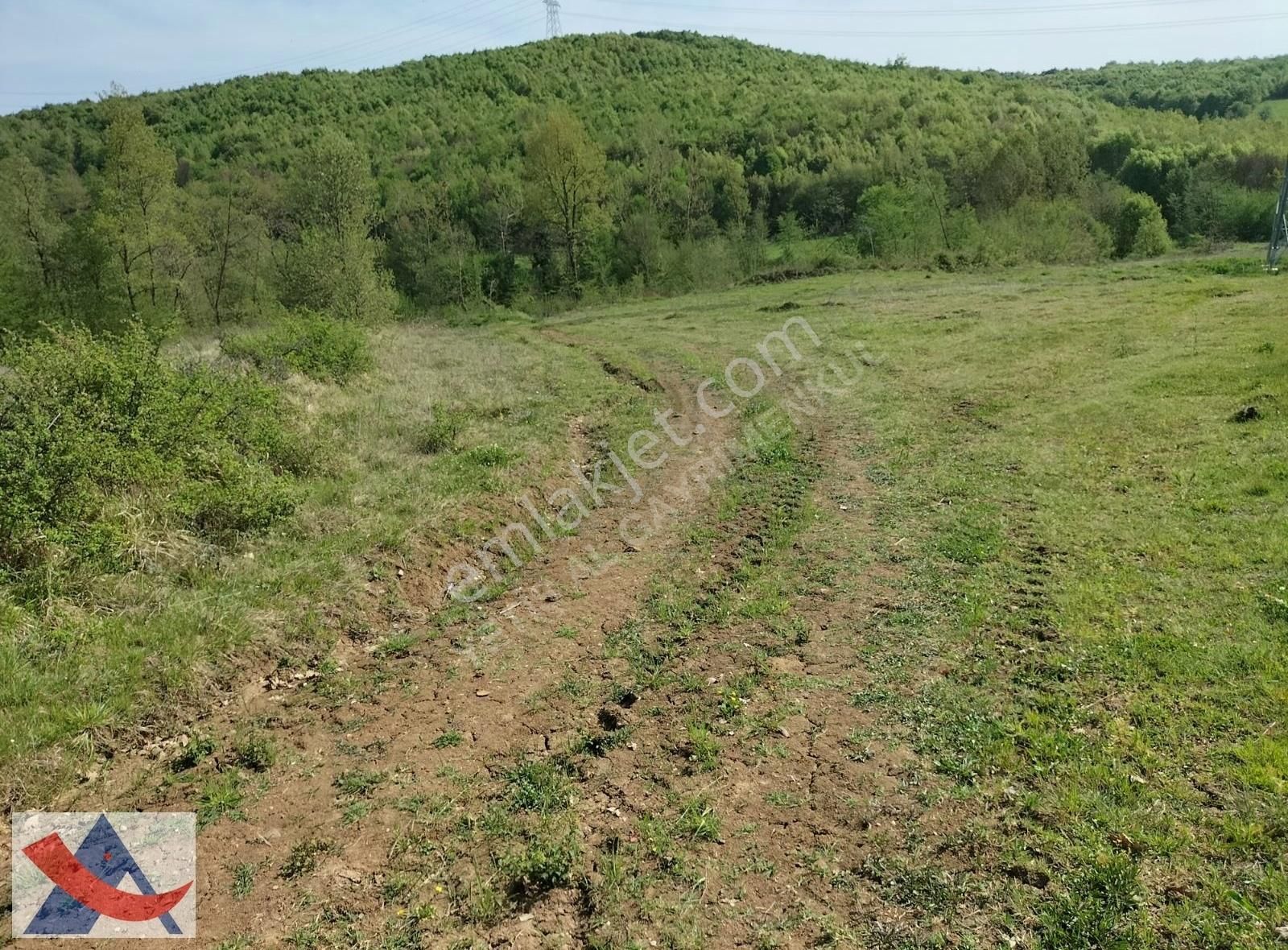 Yetiş Al Dan Şile Çengilli De Doğa İçinde 4.550 M2 Satılık Arazi - Görsel 25