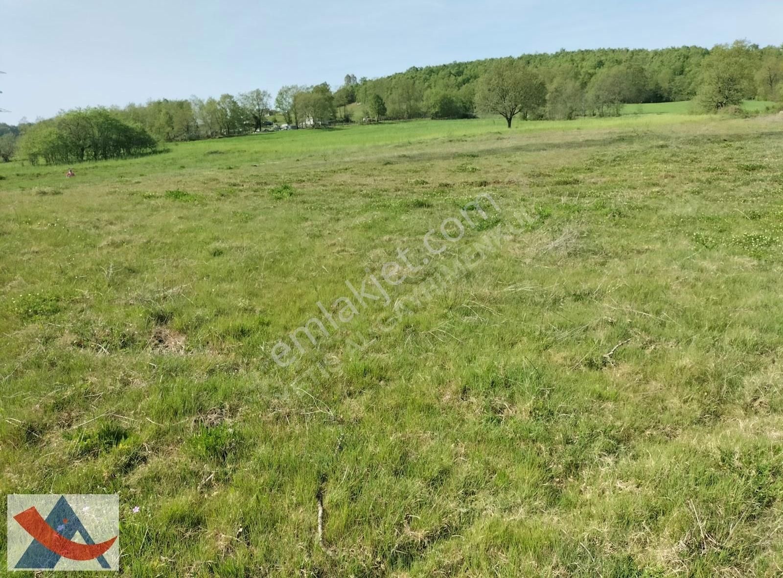 Yetiş Al Dan Şile Çengilli De Doğa İçinde 4.550 M2 Satılık Arazi - Görsel 4