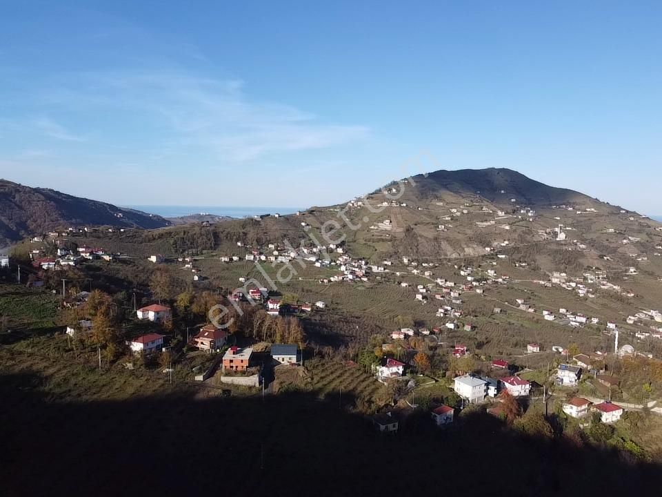 Akçaabat Derecik Satılık Arazi Satılık Arazi 4.000m2 Sera Gölüne 8 Km Uygun Fiyata