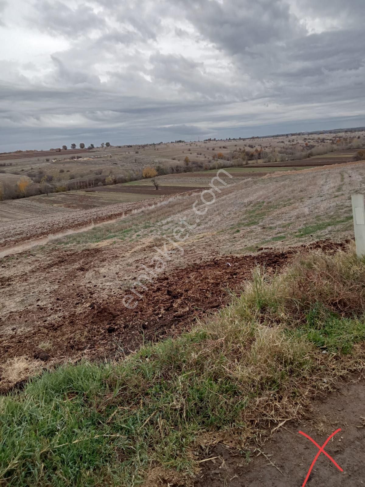 Edirne Merkez Menekşesofular Köyü Satılık Tarla Arı Emlaktan Satılık Tarla