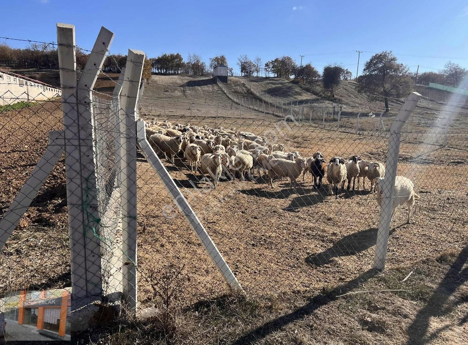 Eskişehir Tepebaşı Satılık Tarla Başkan Emlaktan Satılık Yarımca Mah 678 M2 Hazır Bahçe Yeri