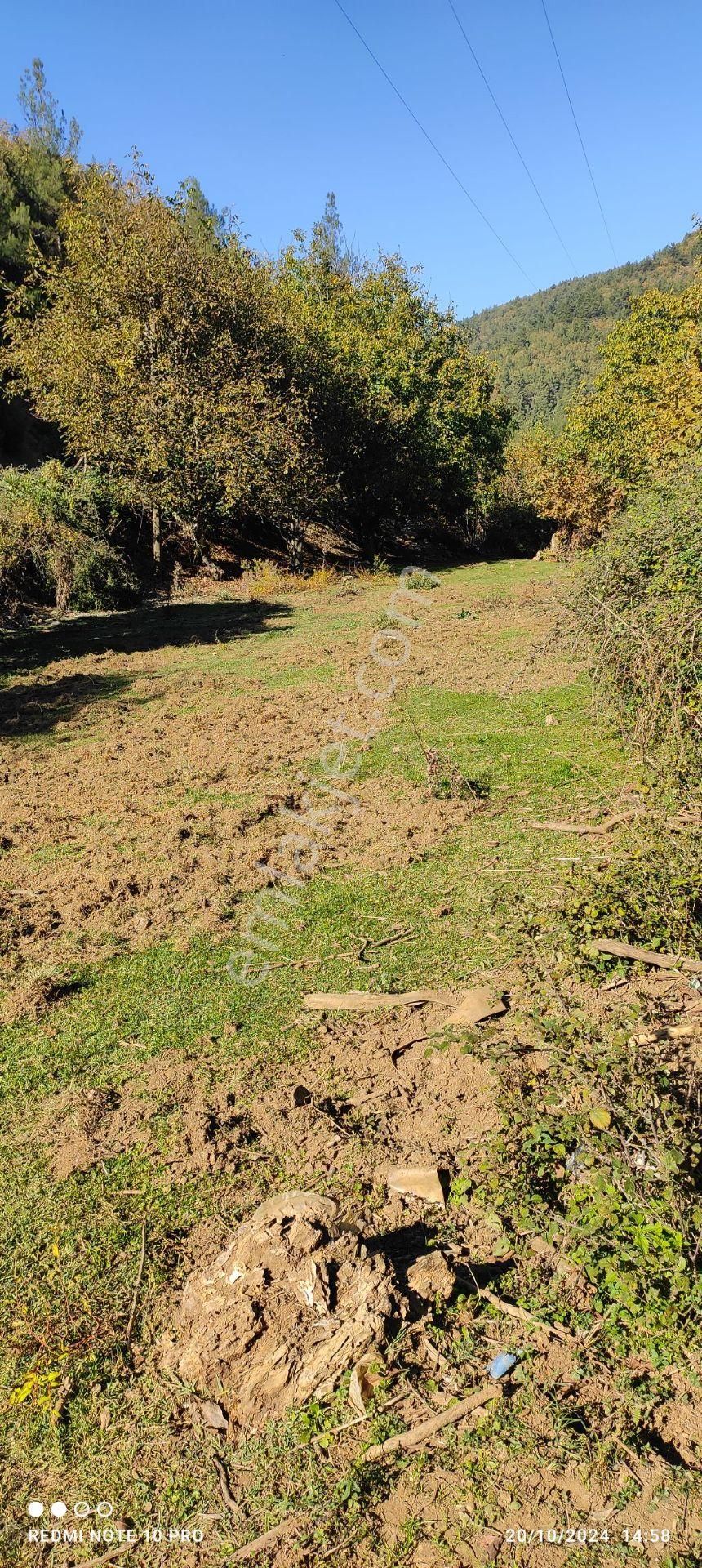 Turgutlu Güney Satılık Tarla Güney Kuşlar Arası 850 Mt Satılık