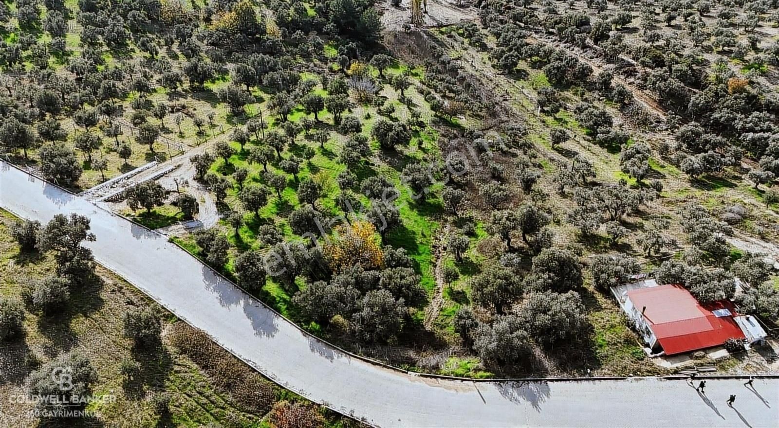 Torbalı Bozköy Satılık Tarla İzmir Torbalı Bozköy'de Yol Üzerine Tek Tapu 5946 M2 Tarla