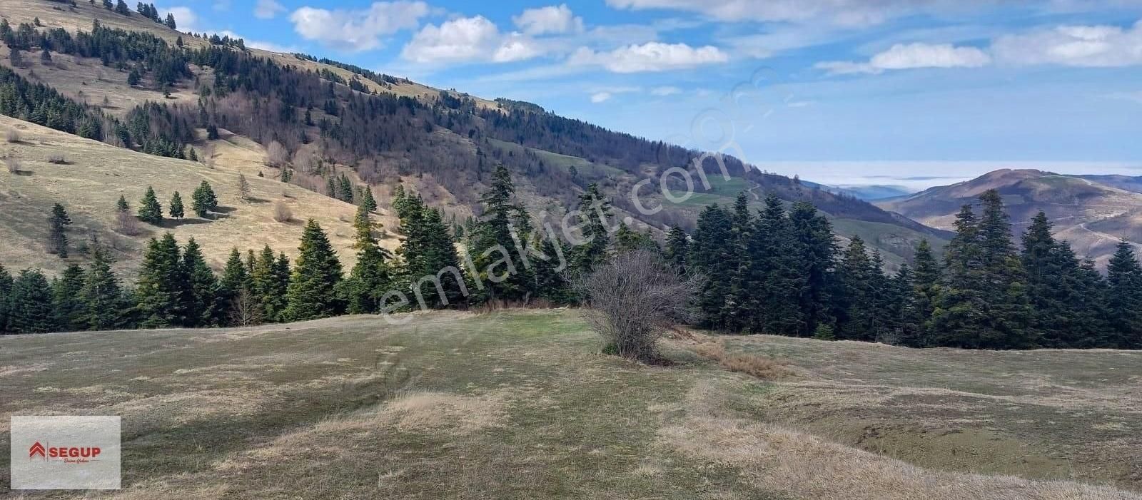 Alaçam Yukarıkoçlu Satılık Tarla Alaçam Yukarıkoçlu 9.340 M2 Fırsat Arazi