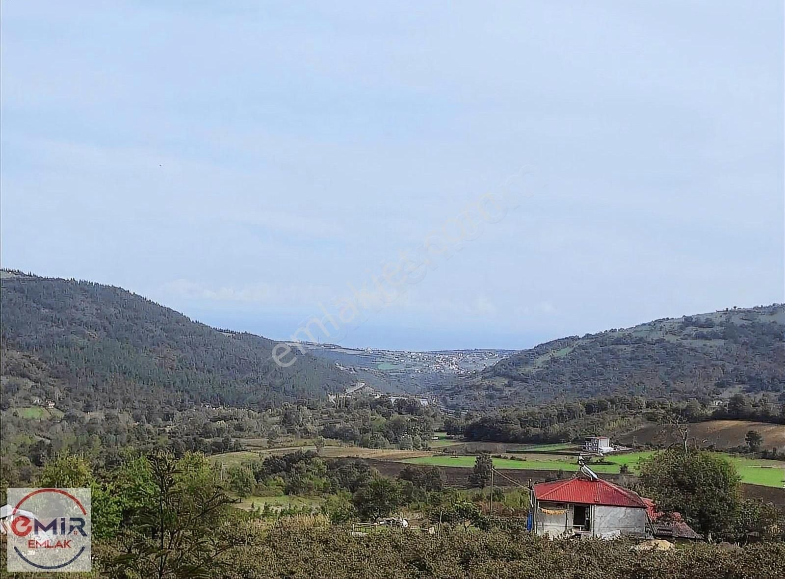 Atakum Karakavuk Satılık Tarla Atakum Karakavukta 3424 M2 Deniz Gören Fındık Bahçesi