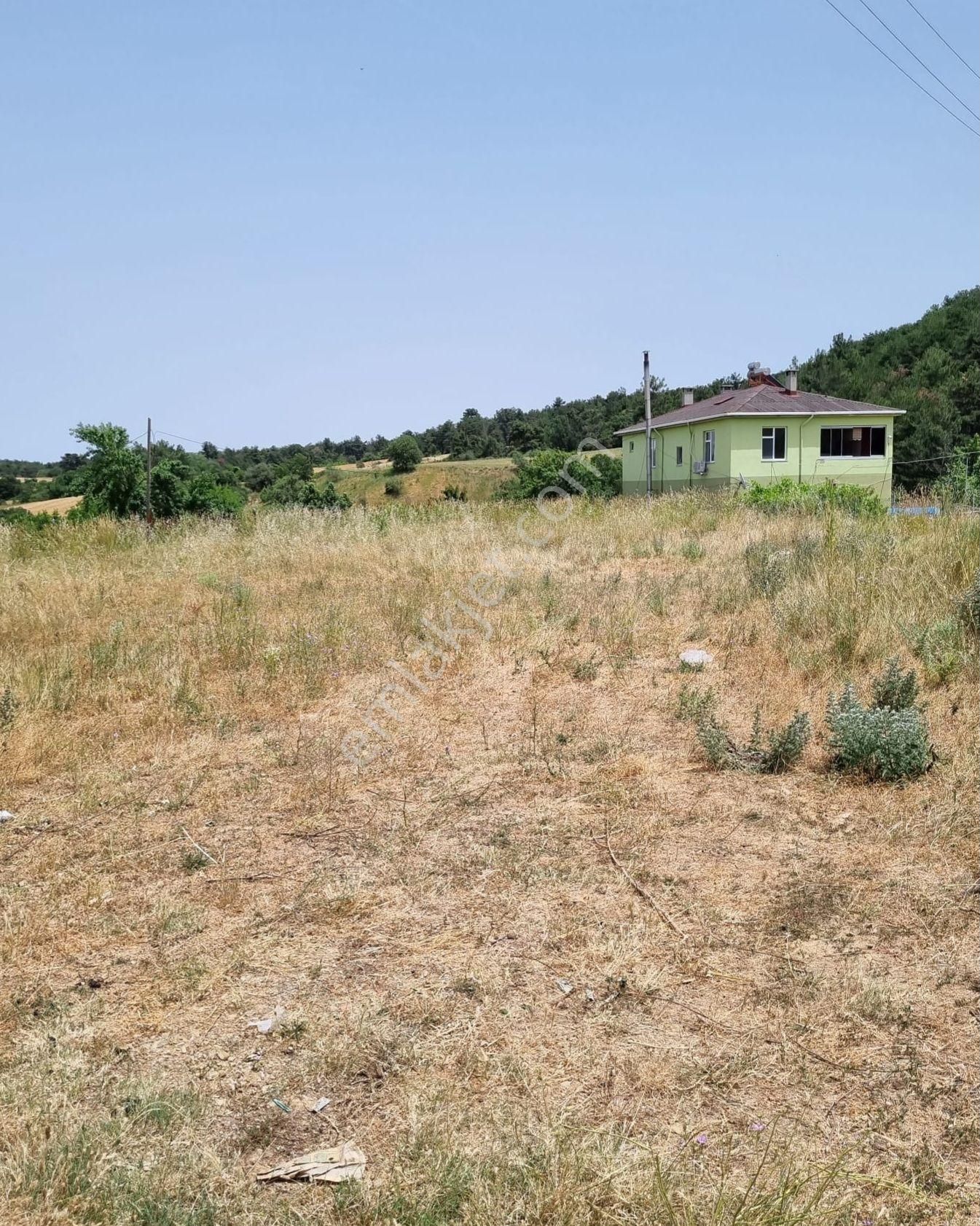 Malkara Yenidibek Satılık Konut İmarlı Tekirdağ Malkara Yenidibek Mahallesinde Köy İmar Dahilinde Satılık Arsa