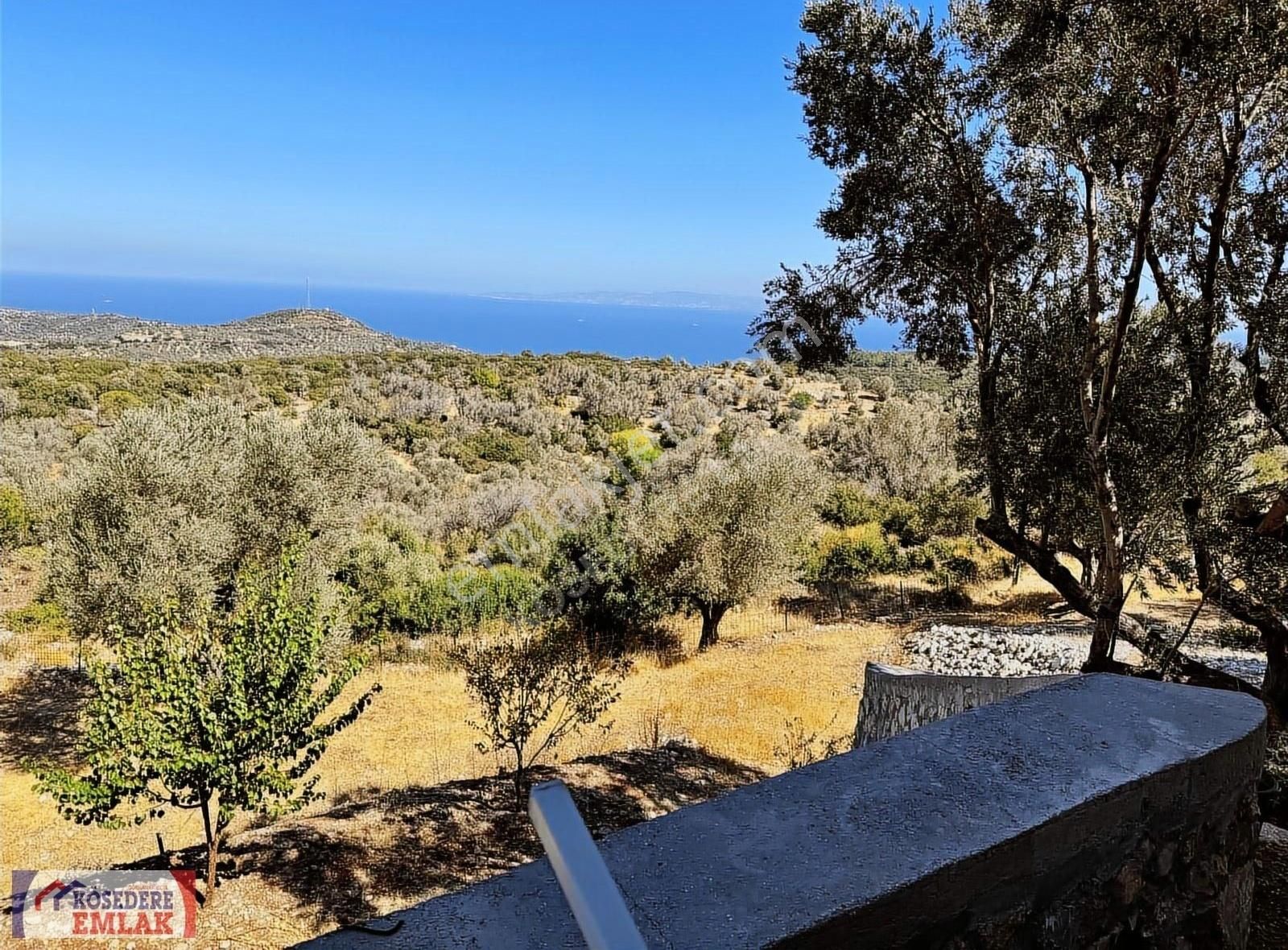 Karaburun Kösedere Satılık Tarla Kösedere Köy Merkezinde Kesintisiz Deniz Manzaralı Tarla