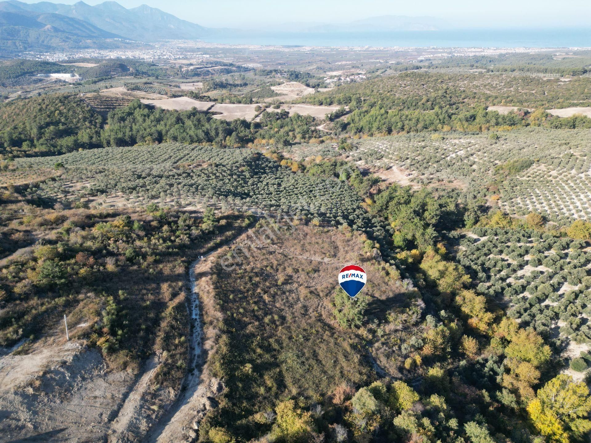 Söke Ağaçlı Satılık Villa İmarlı Söke Ağaçlı Mevkinde İmarlı Arsa