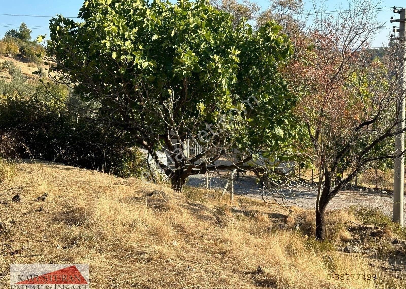 Havran Köylüce Satılık Konut İmarlı KAVUŞTURAN EMLAK'TAN KÖYLÜCE'DE 740 M2 SATILIK  %40 İMARLI RUHSATLI ARSA