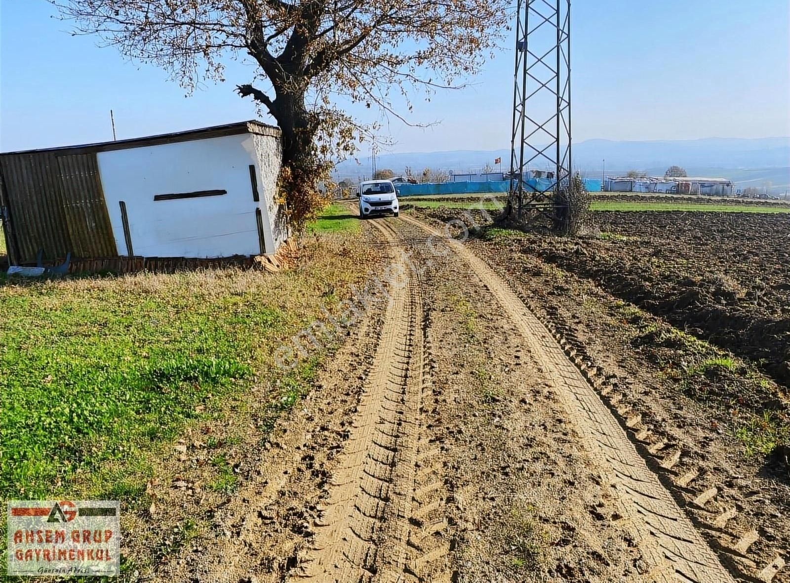 Söğütlü İmamlar Satılık Tarla İmamlarda Yerleşima Çok Yakın Yol Kenarı Satılık Tarla