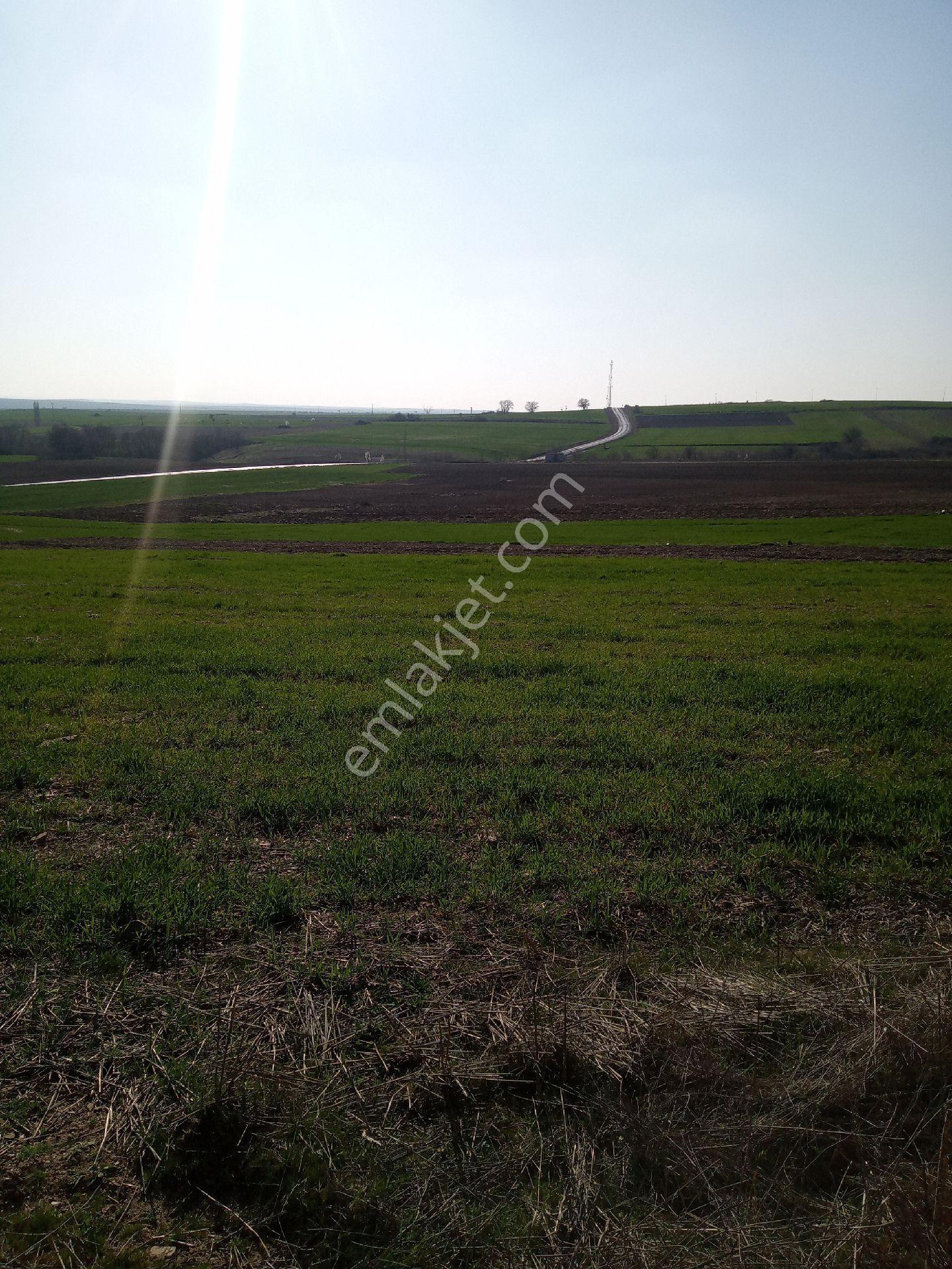 Edirne Osb De Ucuz Arazi .dukyan ,,daire İle Takas Olur - Görsel 5
