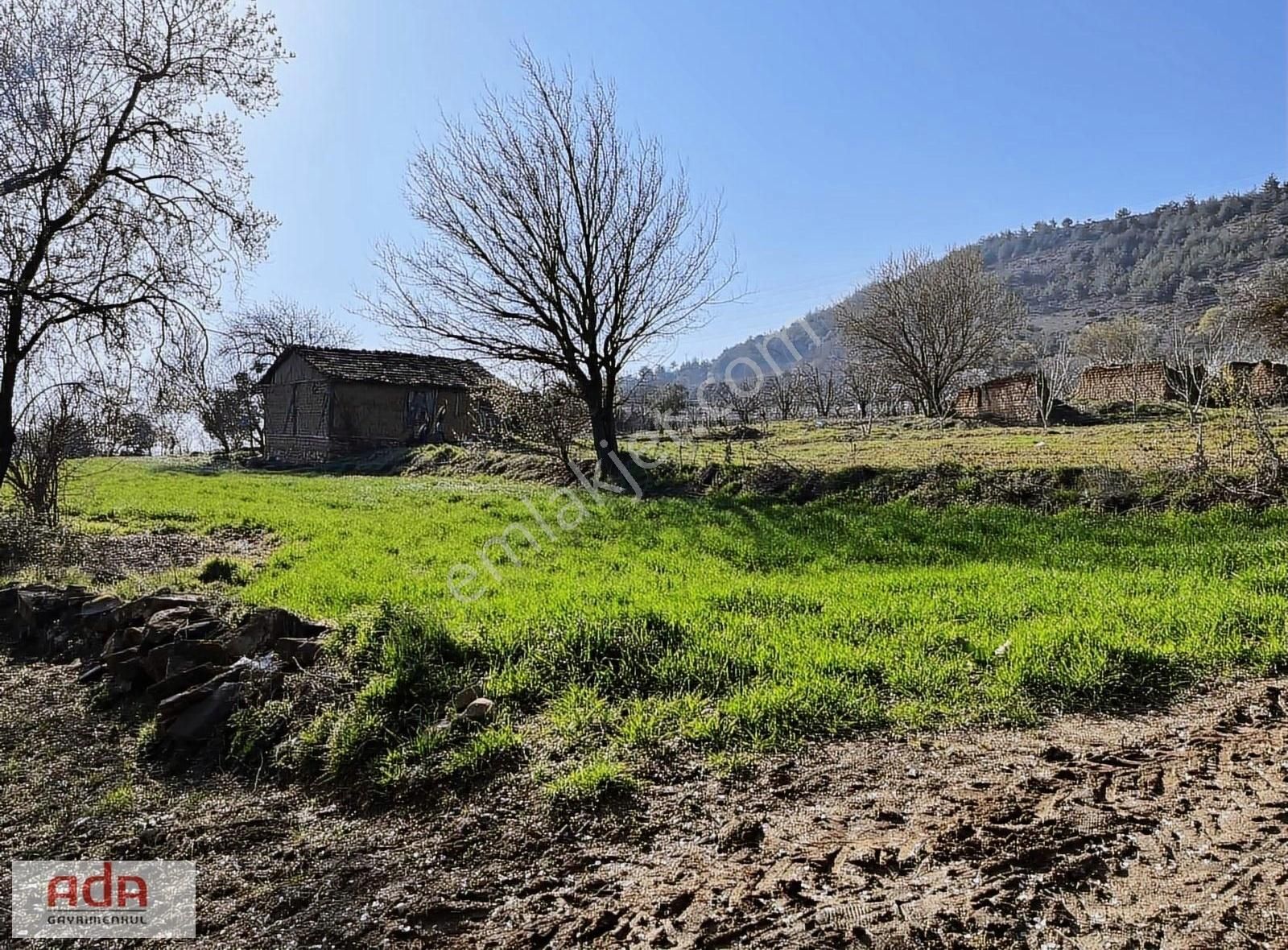 Geyve Hisarlık Satılık Konut İmarlı Ada Gayrimenkulden Geyve Hisarlık Mah.köy İçi 200m2 Arsa