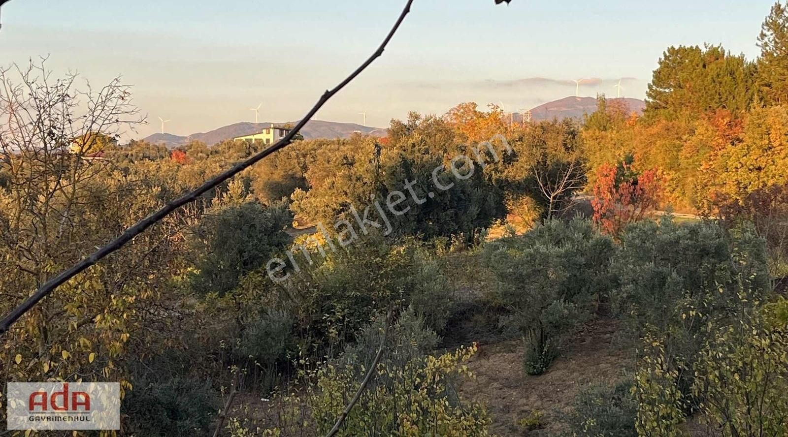 Geyve Sarıgazi Satılık Tarla Ada Gayrimenkulden Geyve Sarıgazi Mah.manzaralı Satılık Arazi