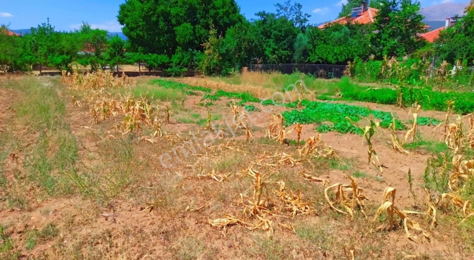 Acıpayam Alaatin'de 535 M2 4 Dairelik Arsa 1.600.000 Tl Pazarlıklı Satılıktır !!! - Görsel 2