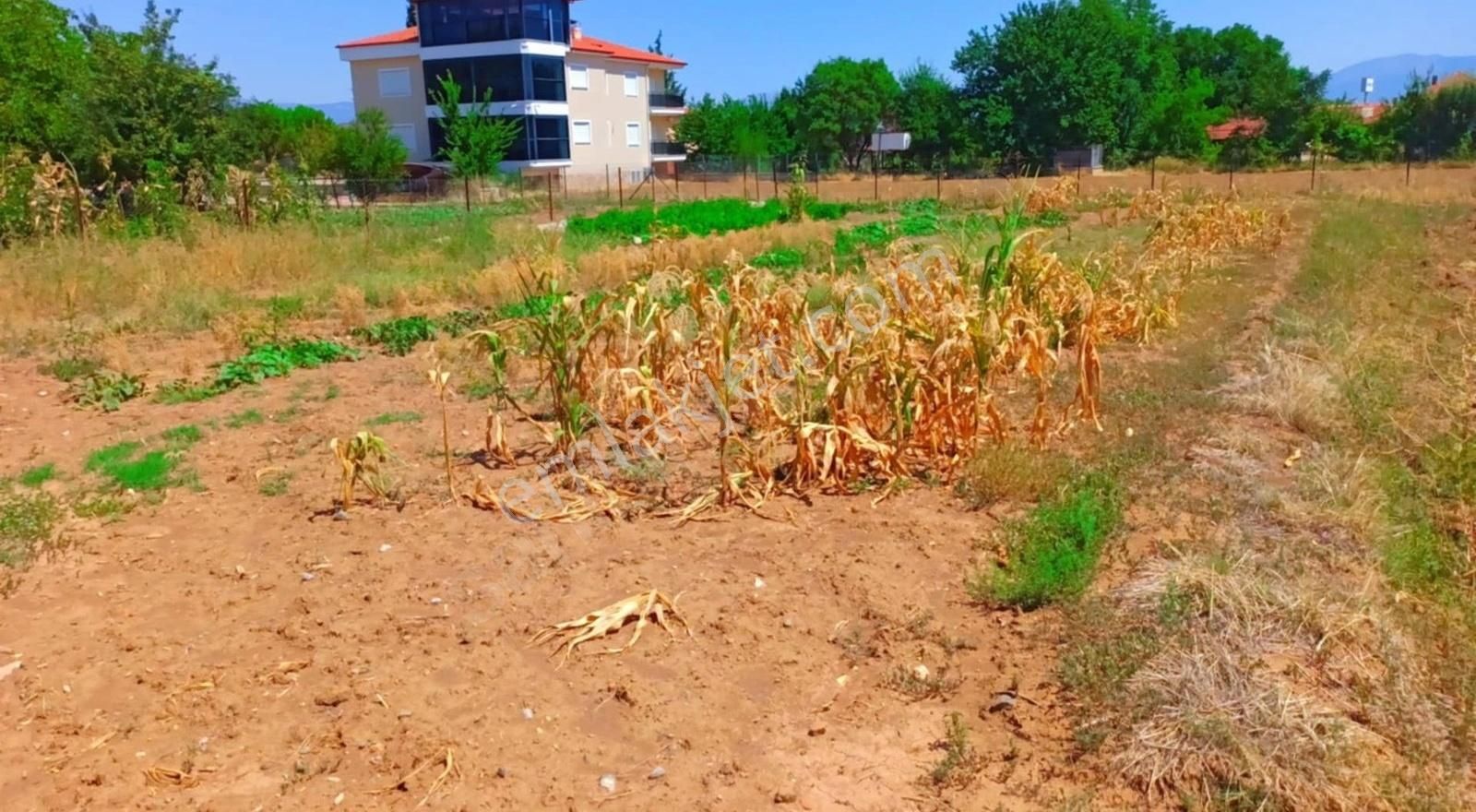 Acıpayam Alaatin'de 535 M2 4 Dairelik Arsa 1.600.000 Tl Pazarlıklı Satılıktır !!! - Görsel 6