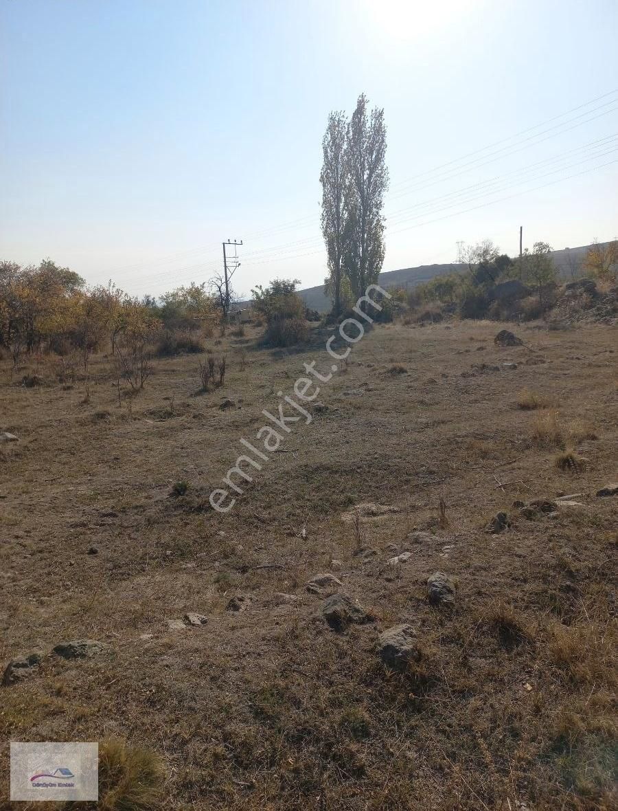 Niğde Merkez Hançerli Köyü Satılık Bağ & Bahçe Dönüşüm Emlaktan Hançerli De Satılık